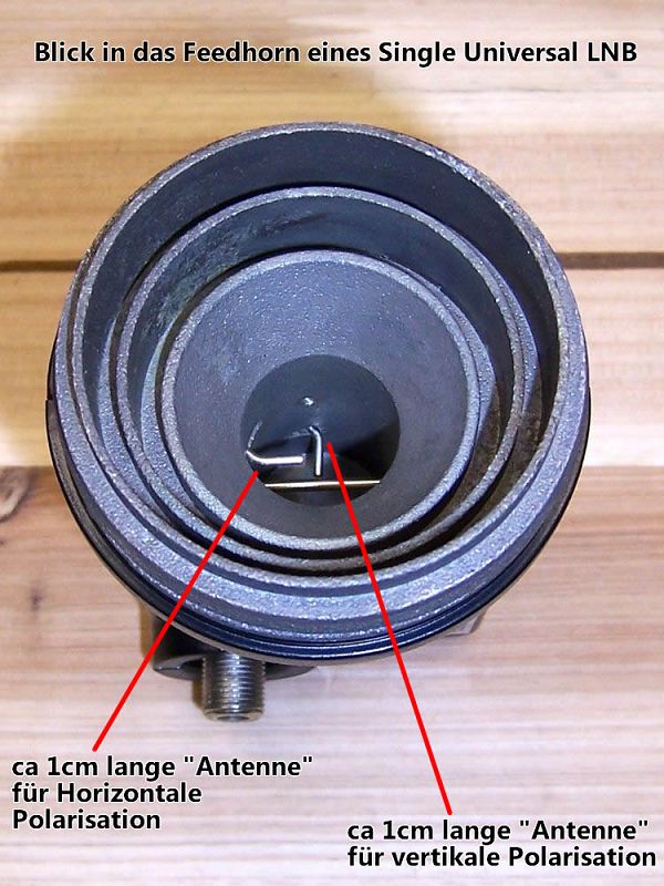 lnb2