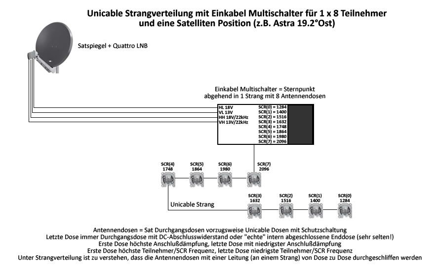 strang baum
