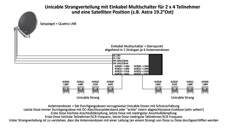 strang baum2